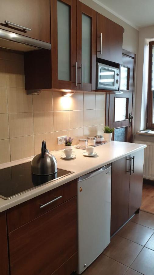 Kaizen Apartament Krynica Zdroj Buitenkant foto